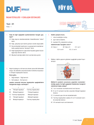 2025 - 11. SINIF BİYOLOJİ DUF - FÖY-5