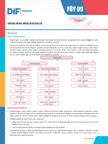 9. SINIF COĞRAFYA DİF - FÖY-9 - 2022
