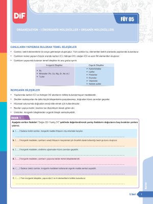2026 - 9. SINIF BİYOLOJİ DİF - FÖY 5