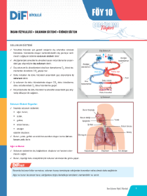 TYT-AYT BİYOLOJİ DİF - FÖY-10 - 2022