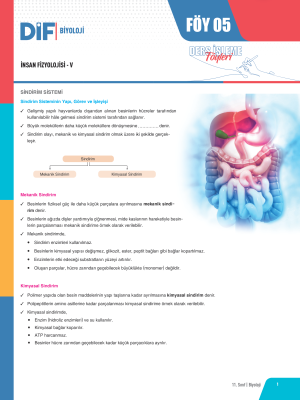 2025 - 11. SINIF BİYOLOJİ DİF - FÖY-5