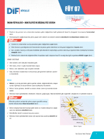 TYT-AYT BİYOLOJİ DİF - FÖY-7 - 2022